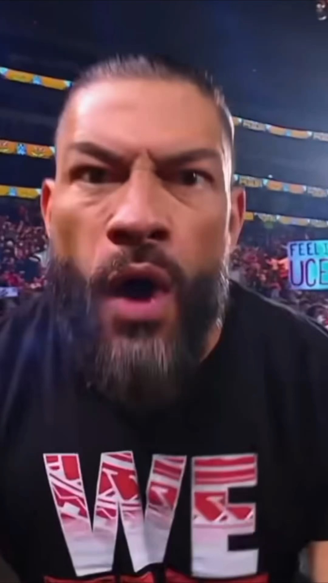 Fan Violates Roman Reigns ?