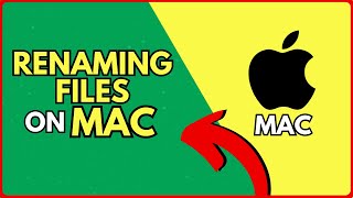 How to Rename Files on Your Mac in Under 5 Minutes