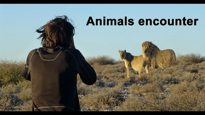 Jerry Swift meets animals