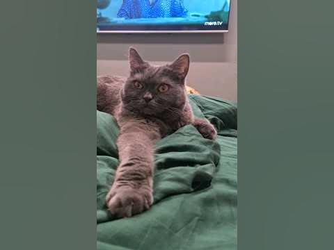 новопасит в студию 😁 - YouTube