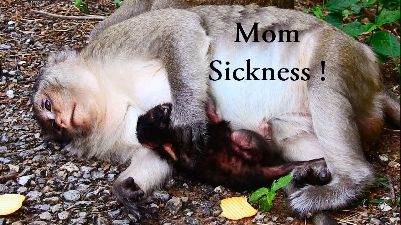 notary public MG Lizzy Unhealthy, Newborn Is Very Healthy Why Mommy Not, Look So Poor Mummy