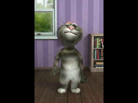 Video: Un Chat Bizar