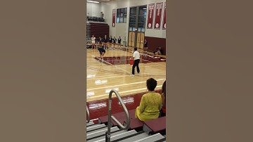 Intense Volleyball Line Judge