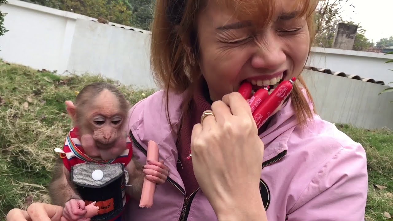 Monkey Baby Tom | Monkey Tom eats sausage and drinks milk with his mother