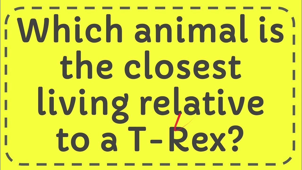 Which animal is the closest living relative to a T Rex? YouTube