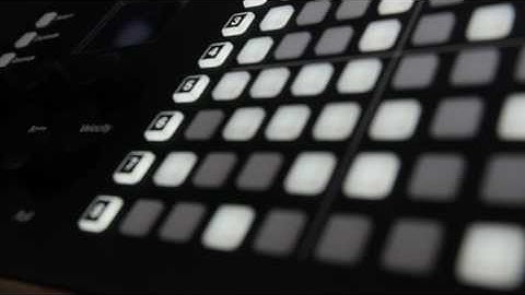 Polyend Seq MIDI Sequencer Teaser