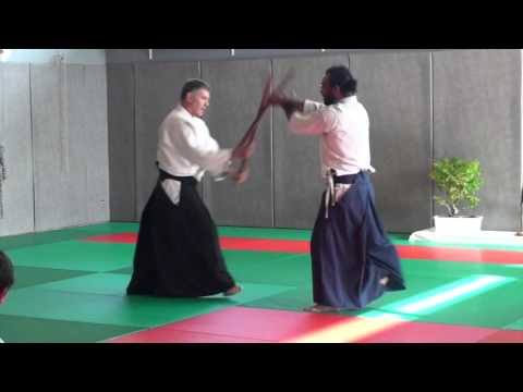 Aikido - Luc Bouchareu - 21 et 22 novembre 2015 - Hagetmau