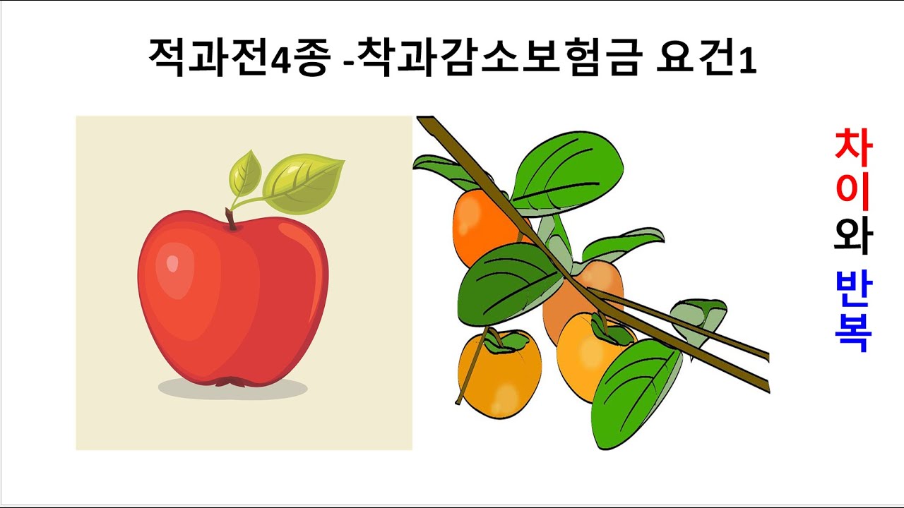 적과전 4종  착과감소보험금의 요건 1#손해평가사#