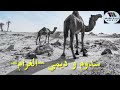 الغرام سدوم وديمي