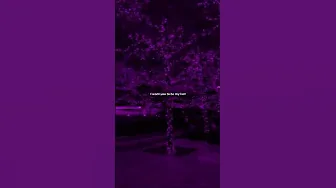 Shinunoga E-Wa - Fujii Kaze | lyrics | aesthetic | whatsapp Status | English songs | slowed #lyrics
