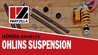 Honda Grom Suspension Upgrade | Ohlins Shock and Ohlins Fork Grom Install | Partzilla.com
