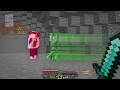 I Played Minecraft on 100x Speed