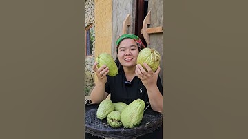 Su su mọc mầm, một món ngon của vùng Tây Bắc