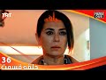 حلقه قسمت 36   36