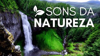 Sounds of Nature Music to Cleanse Your Thoughts and Calm the Mind Inner Peace