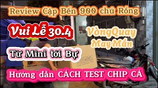 Hạ Nước Tất Cả Dòng Vui Lễ| Cá Rồng Sài Gòn