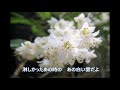 白い花の咲く頃(作詞:寺尾智沙、作曲:田村しげる)cover