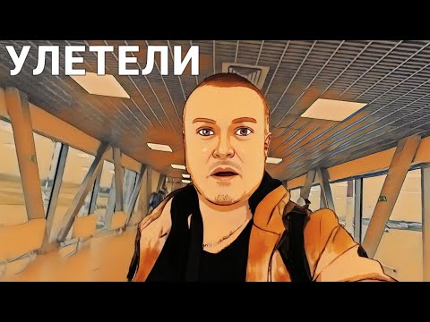 Из Пулково в