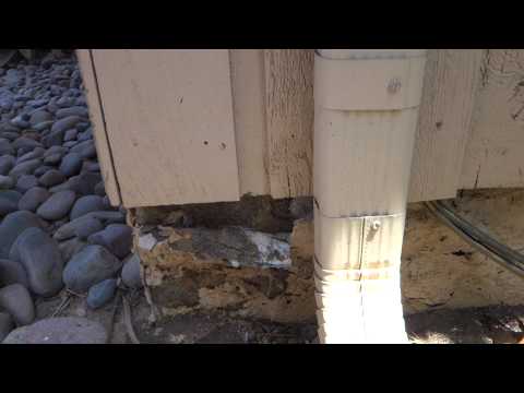 Another flood test