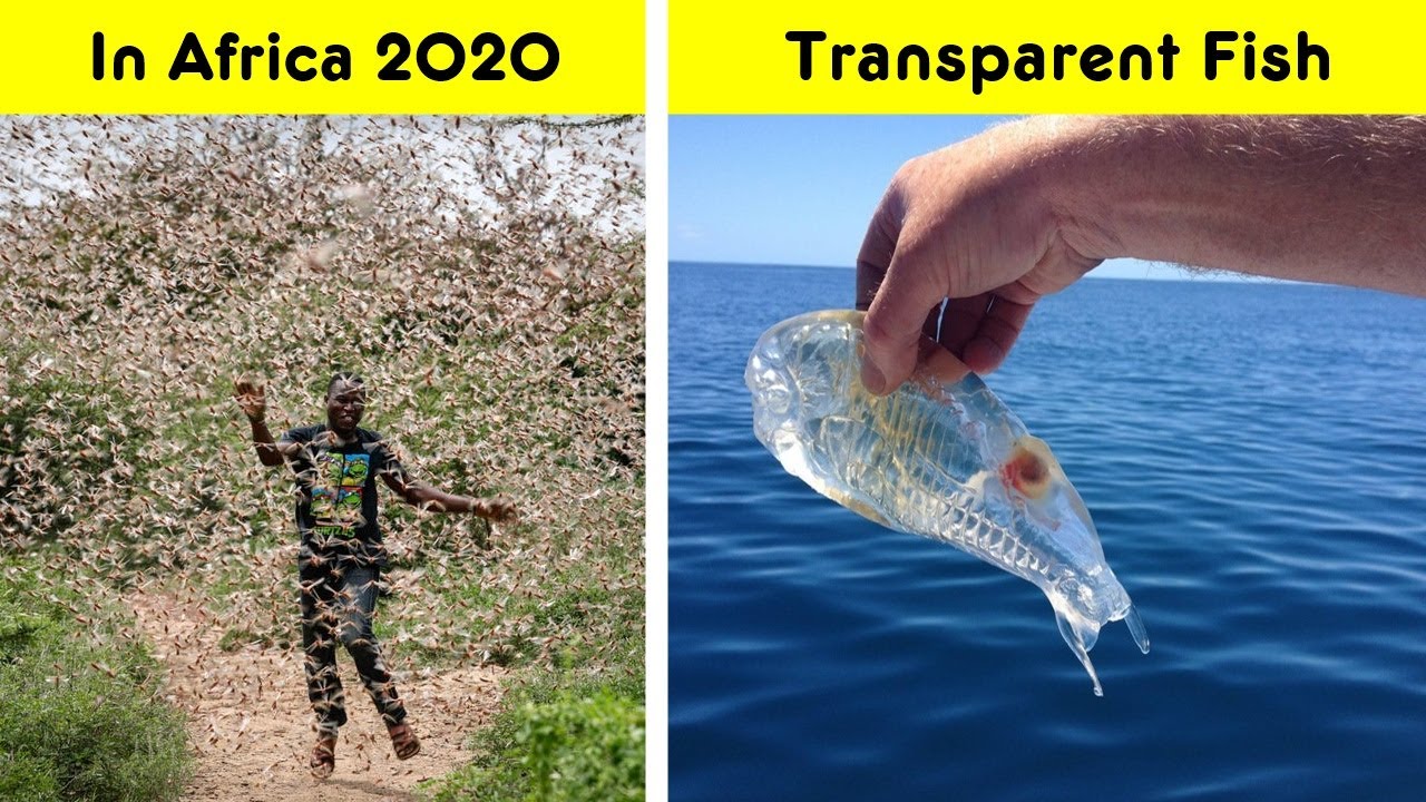 Curious Photos About The World That Can Be A Huge Revelation For Many People