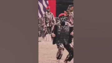 Kopassus (Special Forces Command)