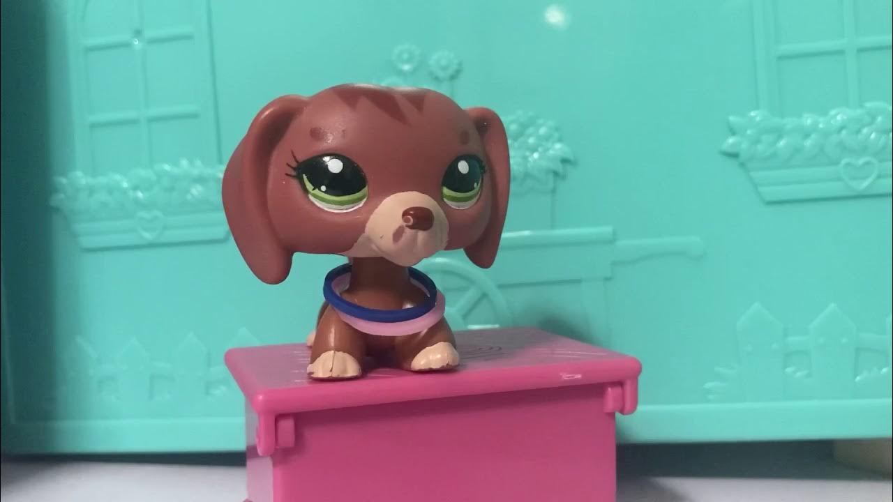 Where do I get LPS? Ask a question, I’ll answer it! Part 1 YouTube