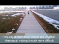 Avy the Bernese Mountain Dog: Distant Long Stay Off Leash - Utah Dog Training Avy the Bernese Mountain Dog: Distant Long Stay Off Leash - Utah Dog Training