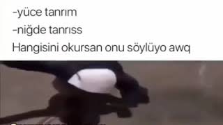 Sizce Ne Diyor D