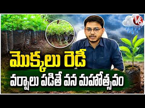 All Set for Vana Mahotsavam in Khammam, Awaiting Good Rains | V6 News - V6NEWSTELUGU
