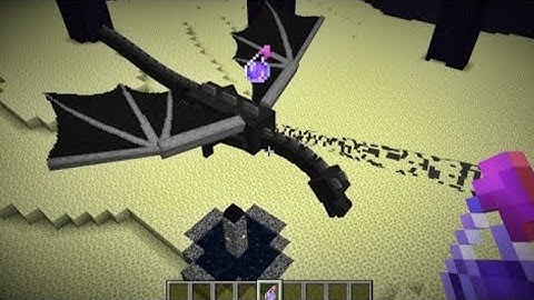 What If U Throw Invisibility Potion on  Ender Dragon !! Minecraft !! Jerry Creation.S