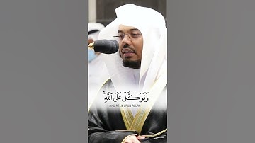 "وَتَوَكَّلْ عَلَى اللَّهِ ۚ " تلاوة بياتية جميلة للشيخ ياسر الدوسري 😴🤍