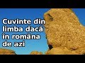 Câte cuvinte din limba dacă folosim în româna de azi? | Lumea Sub Lupă