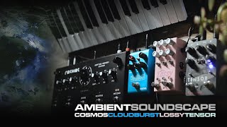 Ambient soundscape with Wavestate, Cosmos, Cloudburst, Lossy & Tensor