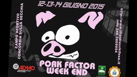PORK FACTOR   PLAYA D