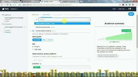 Learn how to create an effective Twitter ad Campaign