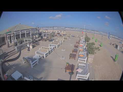 De Haven van Zandvoort live