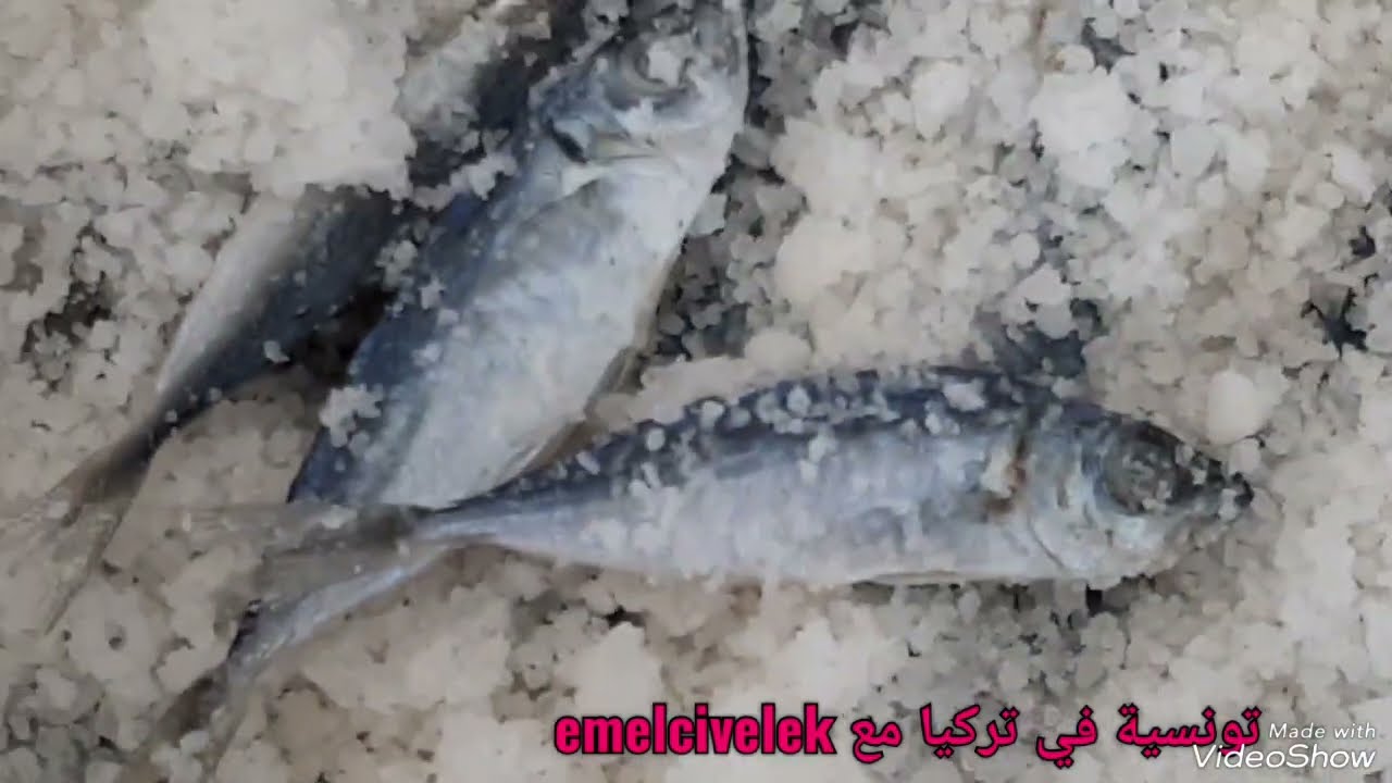 لأول مرة تشوفوها في قناتي/طريقة تجفيف السمك وتحضيرات فصل الشتاء ورمضان