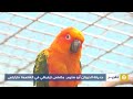 حديقة الحيوان أبو سليم.. متنفس ترفيهي في العاصمة طرابلس