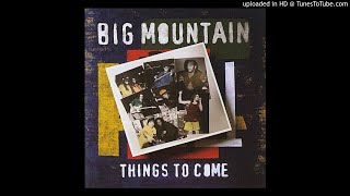 Watch Big Mountain One Small Chance video