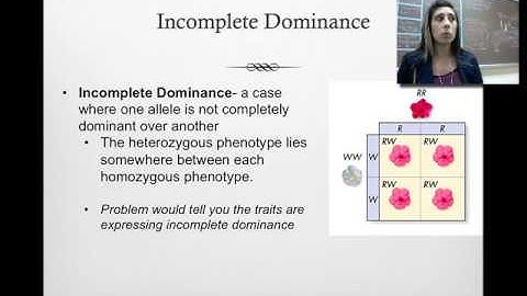 Incomplete Dominance, Codominance, and Polygenic Genetics