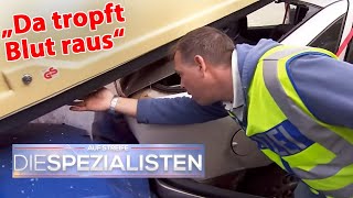 Blutige Entdeckung! Befindet sich eine Leiche in der Dachbox vom Auto?! | Die Spezialisten | SAT.1