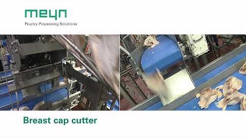 Meyn® Breast Cap cutter