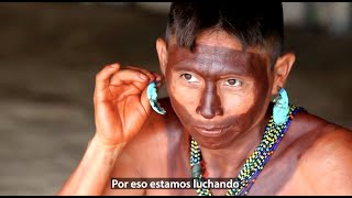 La lucha del Pueblo Yanomami - Amazonia - Brazil