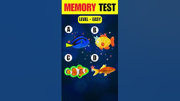 How Good is your Memory? | Ultimate Memory Test Challenge 🧠