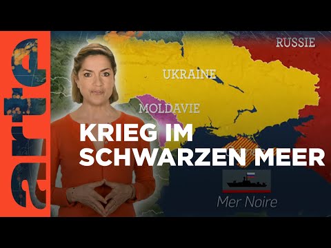 Video: Was kriecht im Meer?