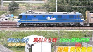 JR貨物　EF210 300牽引　２６両編成　1300t貨物列車　短編側面動画