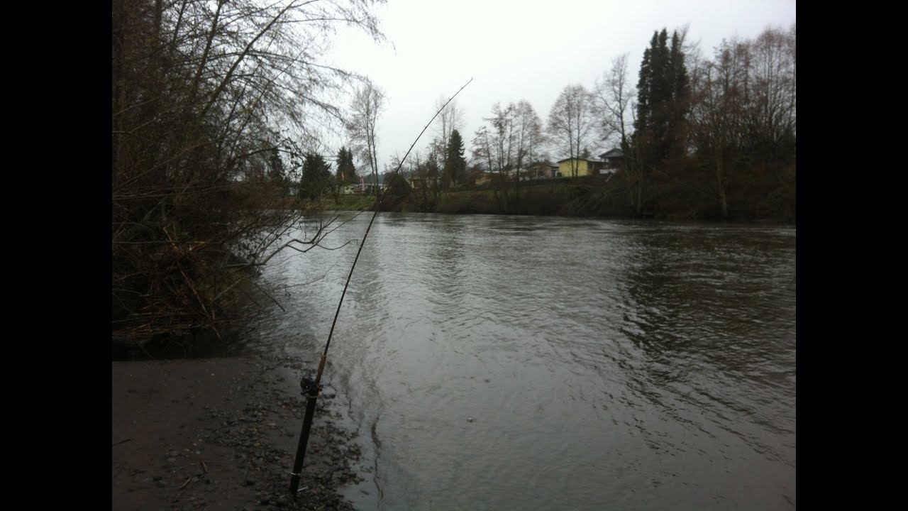 Rod holder for bank fishing (super strong) YouTube