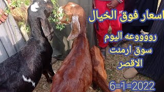 تقريرسوق ارمنت الاقصر  اسعار روعة (٦/١)(٠١١٥٧٧٩٠٦٠١)#قناه_أبو_ريان_لتجاره_الأغنام