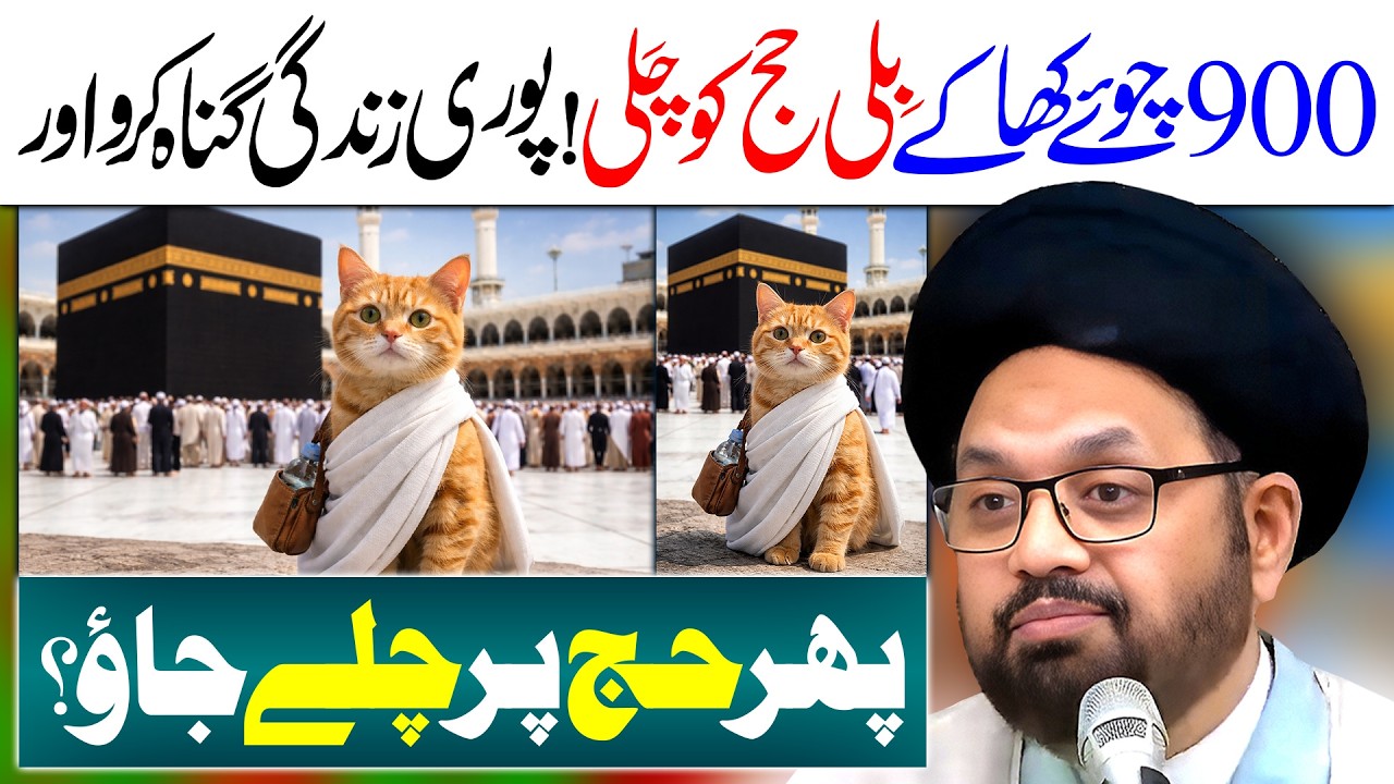 Chali Raza Billi Hajj Ko Chali | Maulana Syed Shahryar Raza Abidi - YouTube