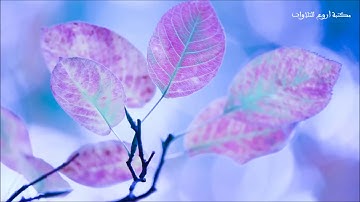 أروع تلاوات الشيخ يحيى عباد